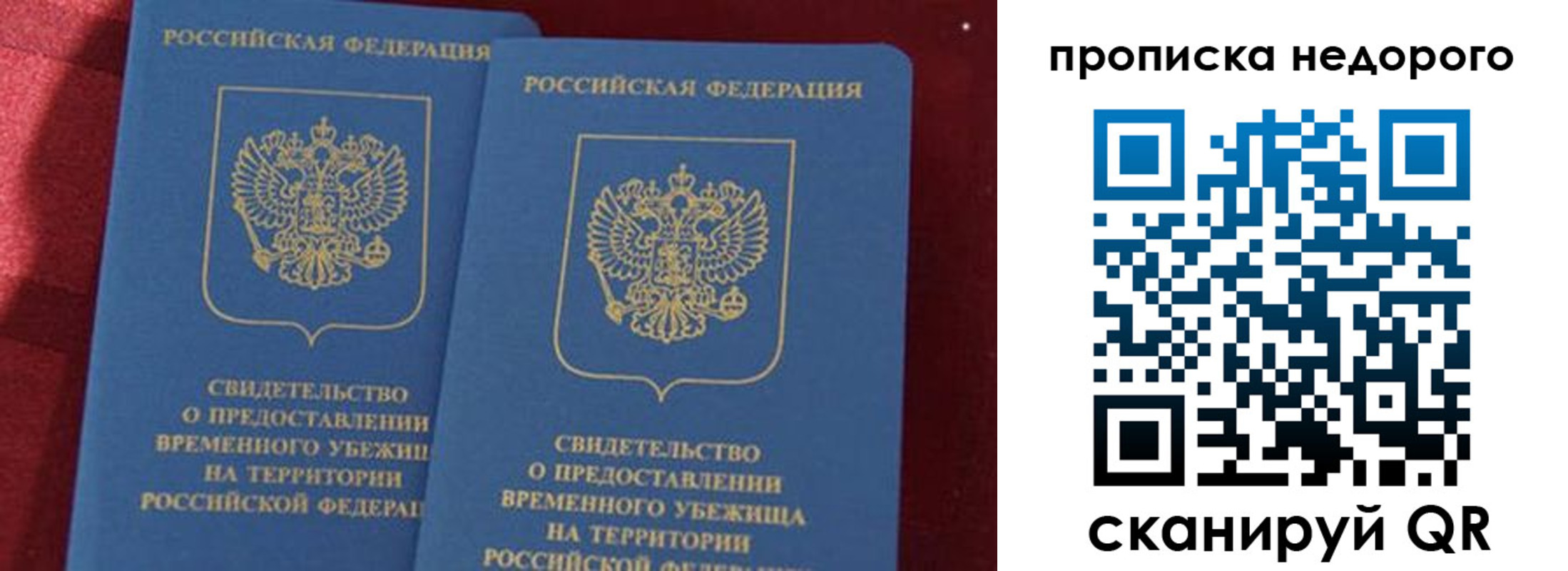 прописка гарантия в Лосино-Петровском
